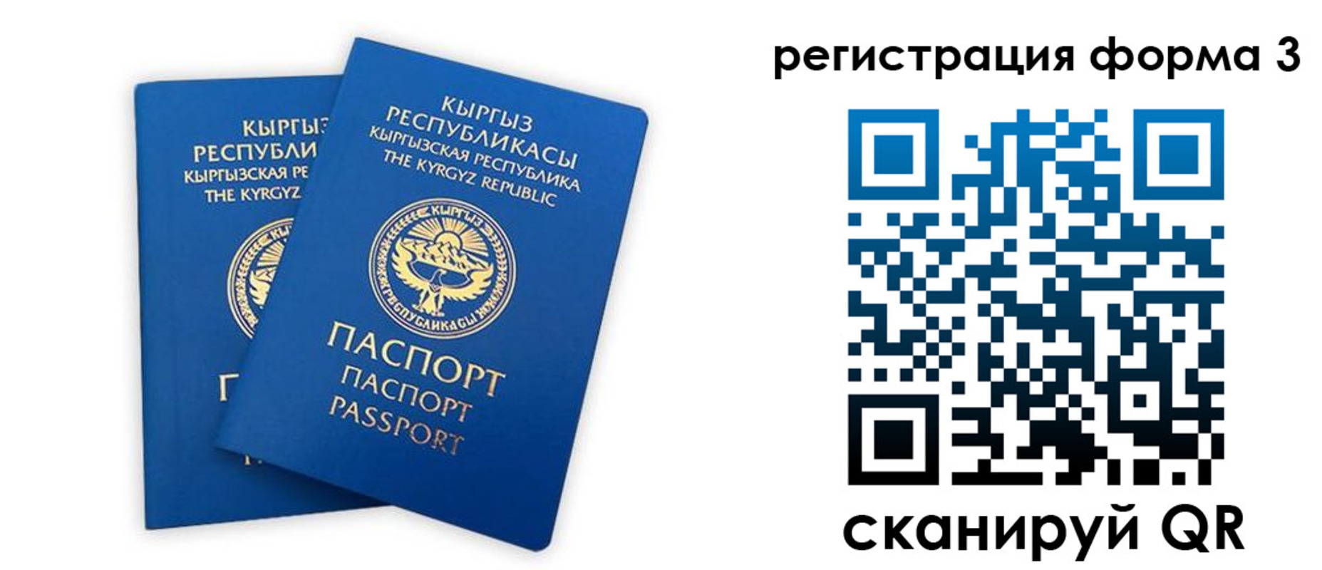 временная регистрация госуслуги в Невельске